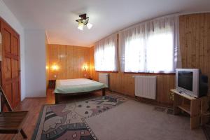 1 dormitorio con 1 cama y TV en una habitación en Pensiunea Flori de Camp, en Vatra Dornei