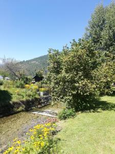a garden with a stream and flowers in the grass at Apartment Ana in Bohinj