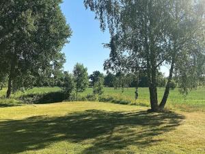 a tree in the middle of a grass field at 6 person holiday home in VARA in Skår