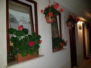 three flower pots on a wall with flowers in them at Casa Germanoff in Ohrid