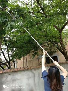 a woman holding a pole to a tree at 桐庐舍予民宿 Tonglu Sheyu Country House in Tonglu