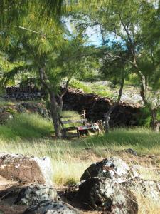 a park bench in a field with trees and rocks at Bakwa Lodge in Rodrigues Island