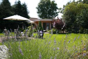 un jardín con flores púrpuras y una sombrilla en The Salty Monk Bed & Breakfast en Sidmouth