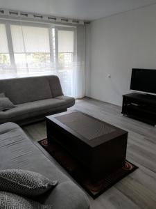 a living room with a couch and a coffee table at Apartamentai ,,ASTRA'' in Birštonas