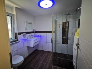 een badkamer met een toilet, een wastafel en een douche bij Ferienhaus Oebel in Brüggen in Brüggen