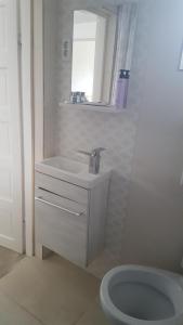 y baño con lavabo y aseo. en Cozy Home in the Heart of Cluj-Napoca, en Cluj-Napoca