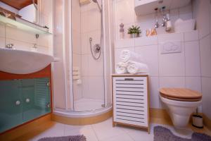 a bathroom with a shower and a toilet and a sink at Winzig Apartment in Schladming
