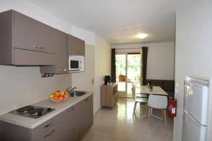 eine Küche mit einer Spüle und einer Arbeitsplatte in der Unterkunft Residence La Palmeraie in Fréjus
