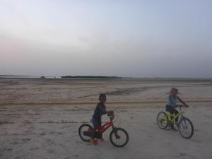 Cykling vid eller i närheten av Nguel du Saloum - Chez Abdou et Mar