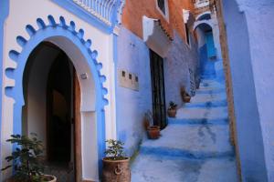 a street in the blue city of chefchaouen with potted plants at dar solaiman in Chefchaouene