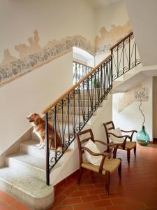 Gallery image of Albergo Garnì Villa Moretti in Riva del Garda