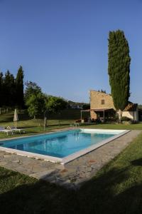 una piscina frente a un edificio con un árbol en Il Vignolino en Barberino di Mugello
