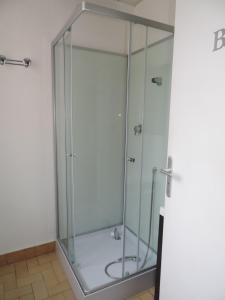 a shower with a glass door in a bathroom at Gite Le Bois Fleuri in Illiers +9 photos