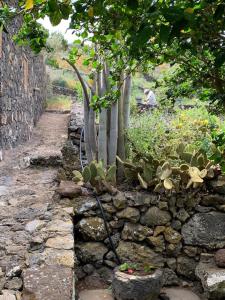 a stone wall with a group of trees and plants at Casita Pedro González in Erese