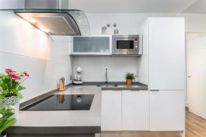 Kuchyň nebo kuchyňský kout v ubytování Apartment Malaga Center