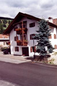 um edifício branco com uma árvore em frente em Villa Santer em Dobbiaco