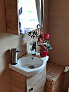 ein Bad mit einem Waschbecken und einem Spiegel in der Unterkunft VOLL ausgestattete DG- Wohnung in HDH ruhige zentrale Lage in Heidenheim