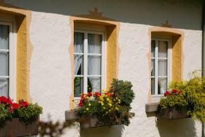 dwa okna z skrzyniami kwiatowymi na boku budynku w obiekcie Hotel Restaurant Rengser Mühle w mieście Bergneustadt