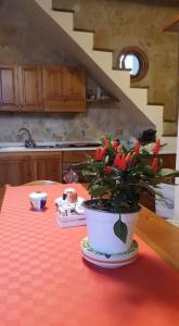 een potplant op een tafel in een keuken bij Petit Chalet in Cava deʼ Tirreni
