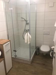 a bathroom with a glass shower with a toilet at Ferienwohnungen Möwe in Lembruch