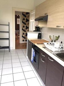 una cucina con lavandino e piano di lavoro di Le MONTREAL F3 (2 chambres) Centre Ville/ GareTGV a Mulhouse