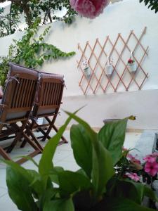 A garden outside Pomegranate apartment