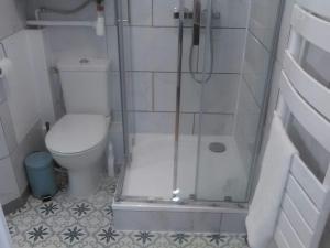 een kleine badkamer met een toilet en een douche bij Le Clos Mathilde in Cabourg