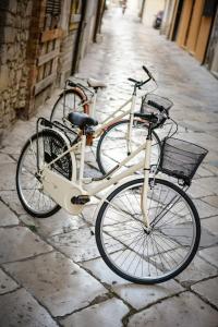 Jazda na bicykli v okolí ubytovania B&B La Bouganville di Serena