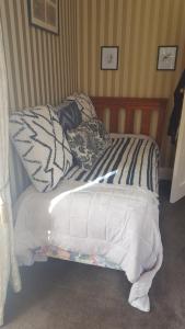 a unmade bed in a room with a striped wall at 64Lewis in Invercargill