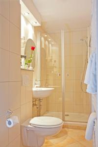 a bathroom with a shower and a toilet and a sink at Hotel Rosenhof in Kerpen