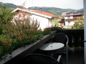 Ein allgemeiner Bergblick oder ein Berglick von der Ferienwohnung aus
