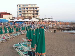 a group of chairs and umbrellas on a beach at Piccolo Hotel in Rosignano Solvay