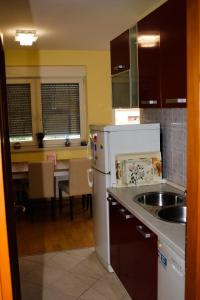 a kitchen with a sink and a refrigerator at Apartman Klara in Karlovac