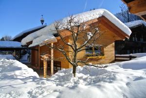 Ferienhaus Hofwimmer žiemą