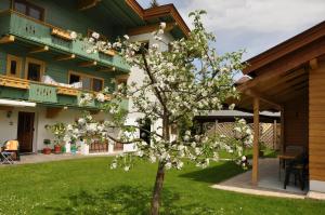 a magnolia tree in front of a house at Ferienhaus Hofwimmer in Kirchberg in Tirol