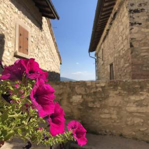 Fotografie z fotogalerie ubytování Le Case dell'Arco – Monte San Vito v destinaci Scheggino