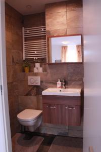 een badkamer met een toilet, een wastafel en een spiegel bij Floriande Bed & Breakfast in Hoofddorp