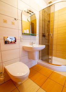 a bathroom with a toilet and a sink and a shower at Hotel Stary Młyn in Koziegłowy