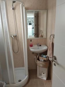 een badkamer met een douche, een wastafel en een spiegel bij Guimar Advance en plena judería in Córdoba