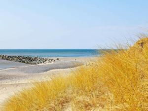 a beach with a bunch of birds on the sand at 6 person holiday home in Lemvig in Lemvig