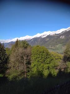 Imagine din galeria proprietății Bergengel în Scharnachtal 