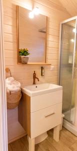 a bathroom with a sink and a mirror at Sielankownia in Radków