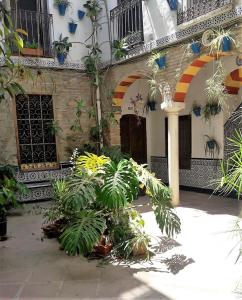 Fotografie z fotogalerie ubytování AP Abderraman I Cordoba v destinaci Córdoba