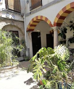 Fotografie z fotogalerie ubytování AP Abderraman I Cordoba v destinaci Córdoba