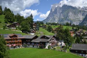 ein Dorf in den Bergen mit einem Berg in der Unterkunft Hotel Caprice - Grindelwald in Grindelwald