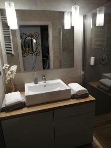 un baño con lavabo y espejo en Papaver Apartament, en Zielona Góra