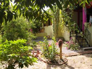 a garden with flowers and plants in front of a house at Sistarasta in Palomino