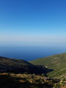Φυσικό τοπίο κοντά σε αυτό το διαμέρισμα