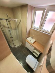 a bathroom with a shower and a toilet and a sink at Casa Orange 2 in Koper