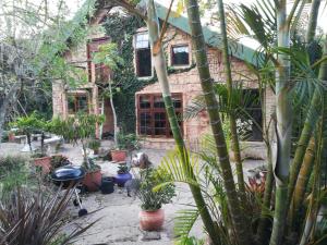 una casa con un montón de plantas delante de ella en Tucked away in the tree tops, en Hillcrest